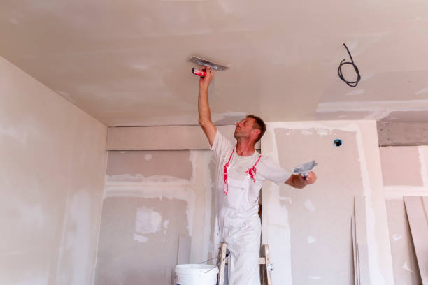  Bronte, TX Painting & Drywall Services Pros